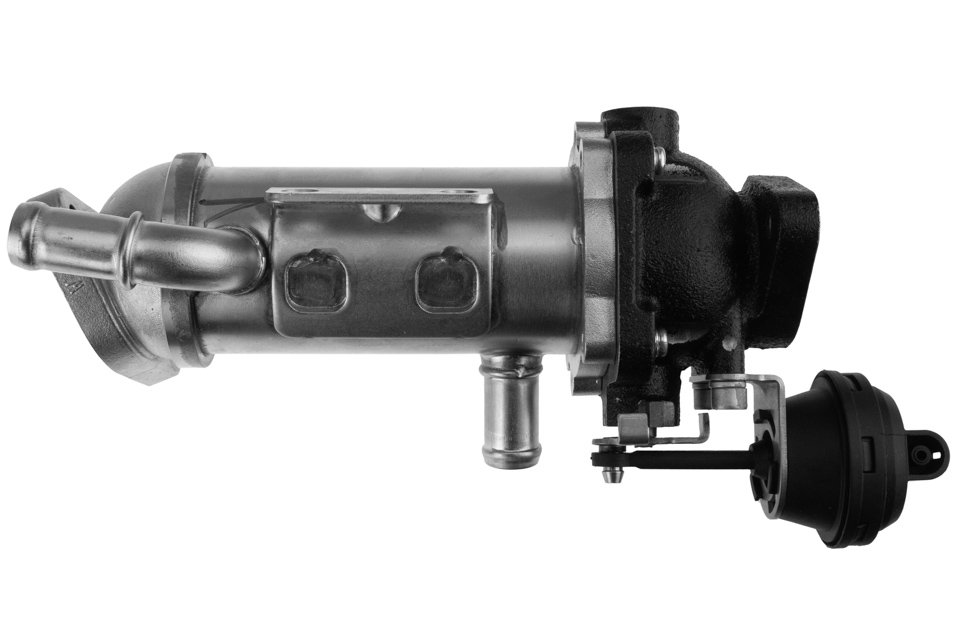 OEM код товара: 8200968414