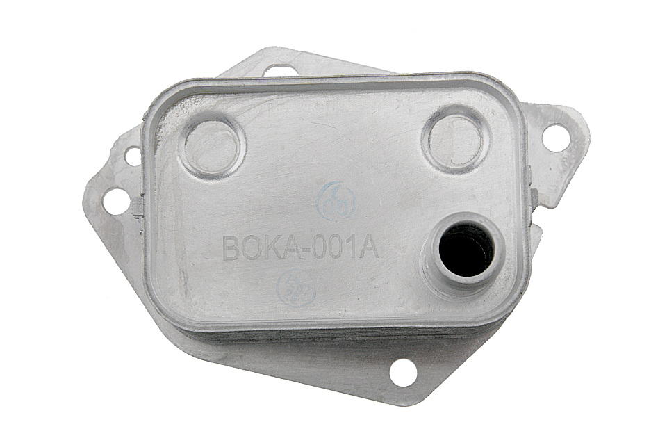 Prekės atitinka OEM kodą: 264102A300