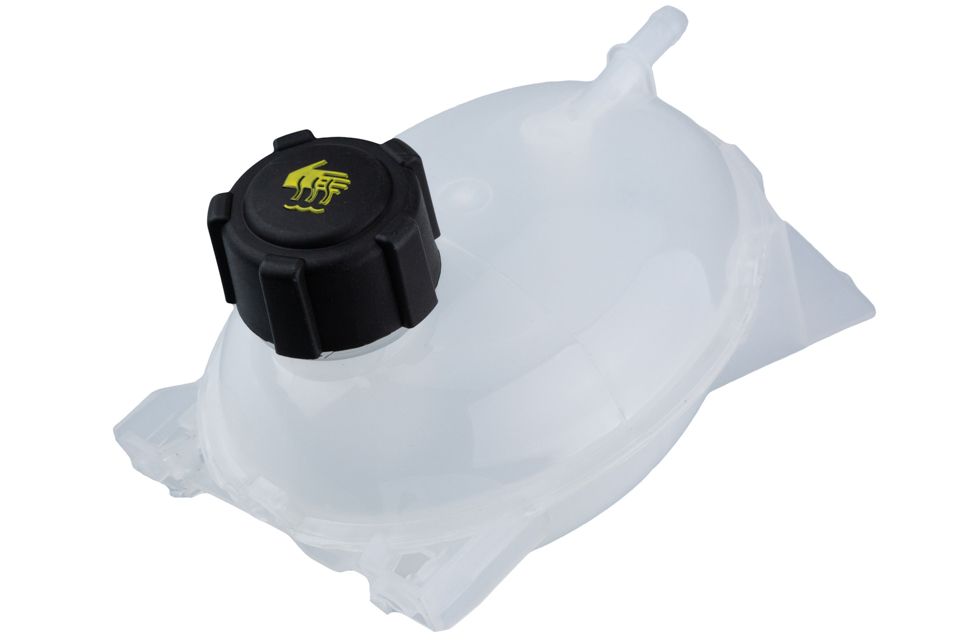 Prekės atitinka OEM kodą: 217104354R